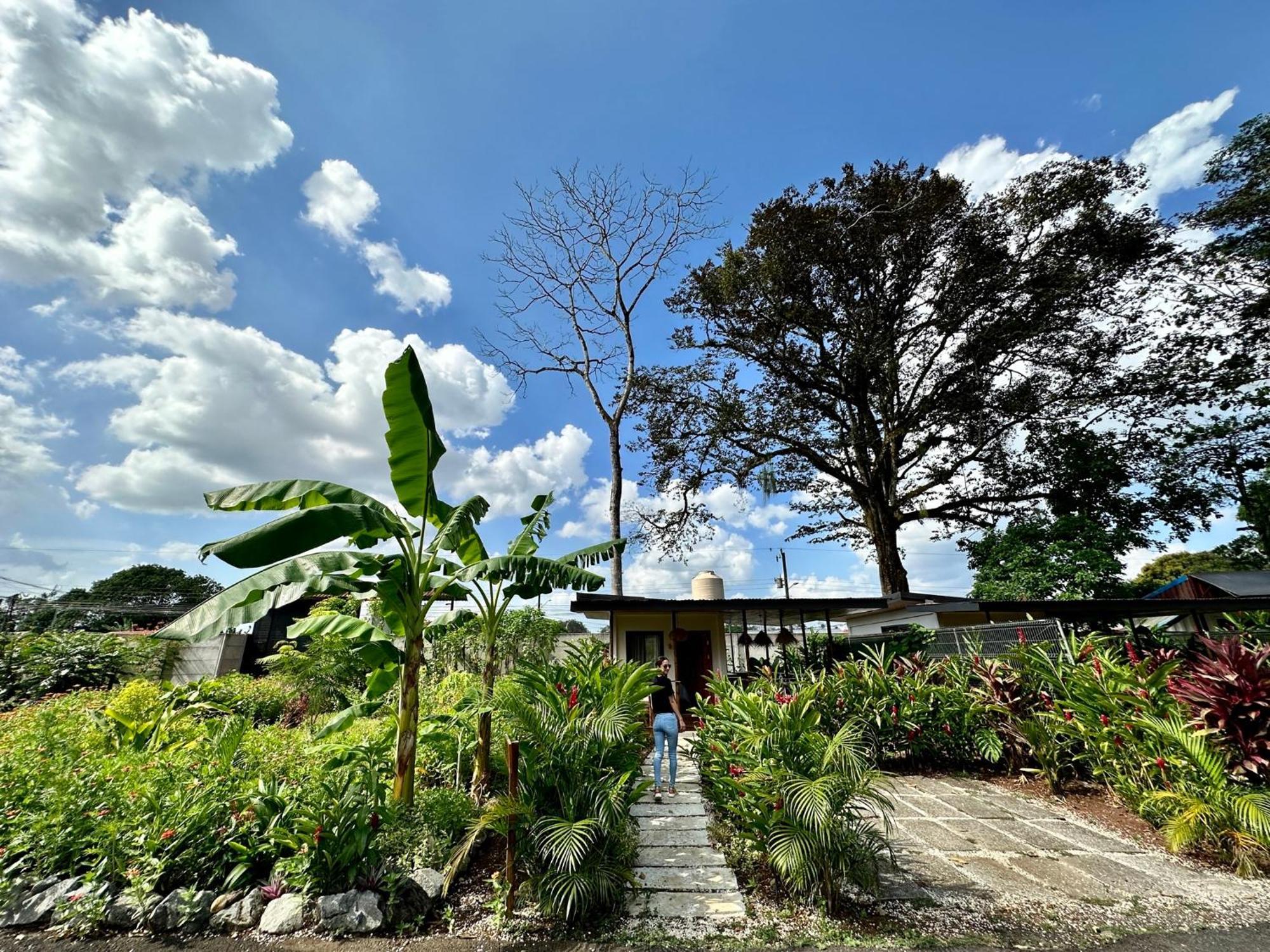 Almendros Eco-Villas La Fortuna Bagian luar foto