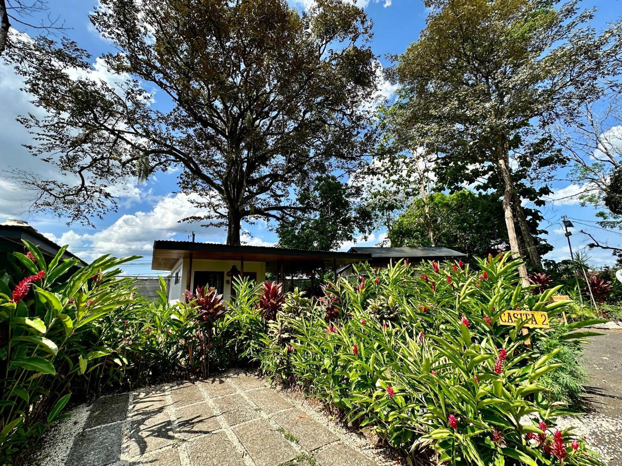 Almendros Eco-Villas La Fortuna Bagian luar foto