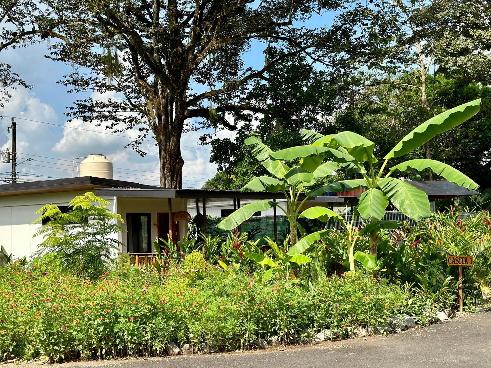 Almendros Eco-Villas La Fortuna Bagian luar foto