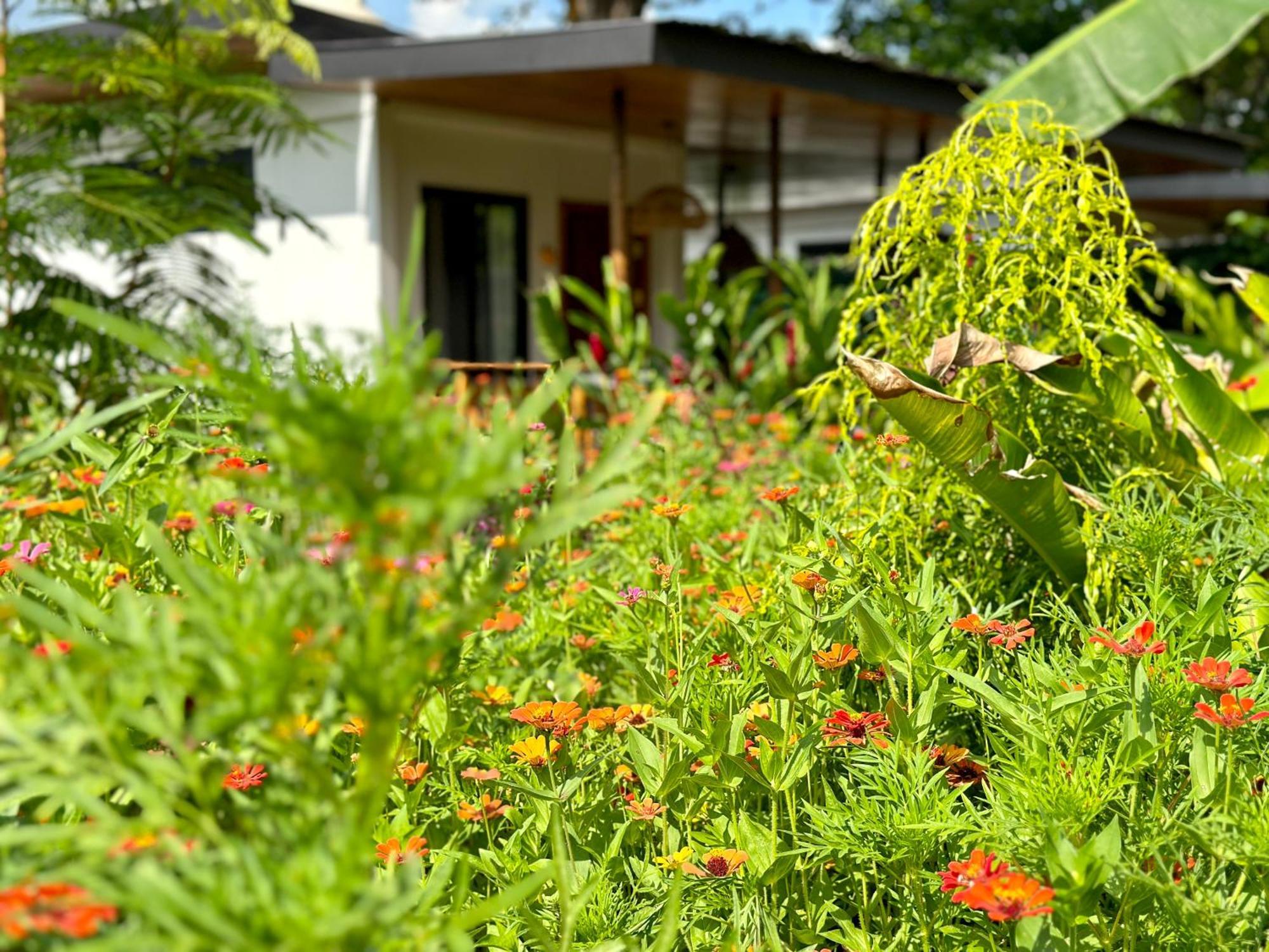 Almendros Eco-Villas La Fortuna Bagian luar foto