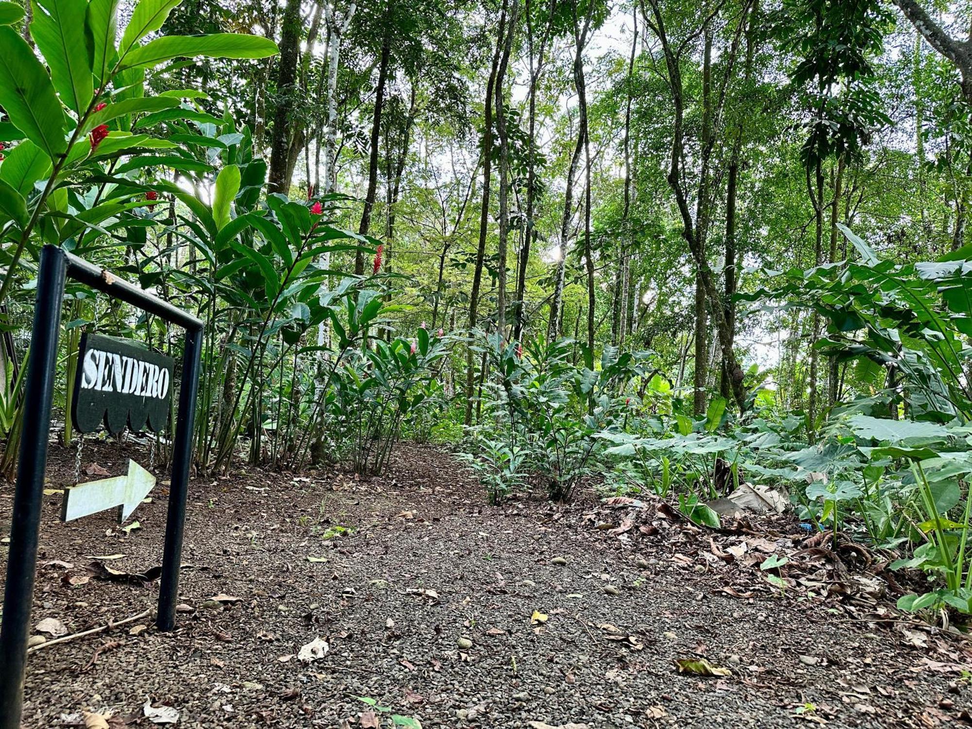 Almendros Eco-Villas La Fortuna Bagian luar foto