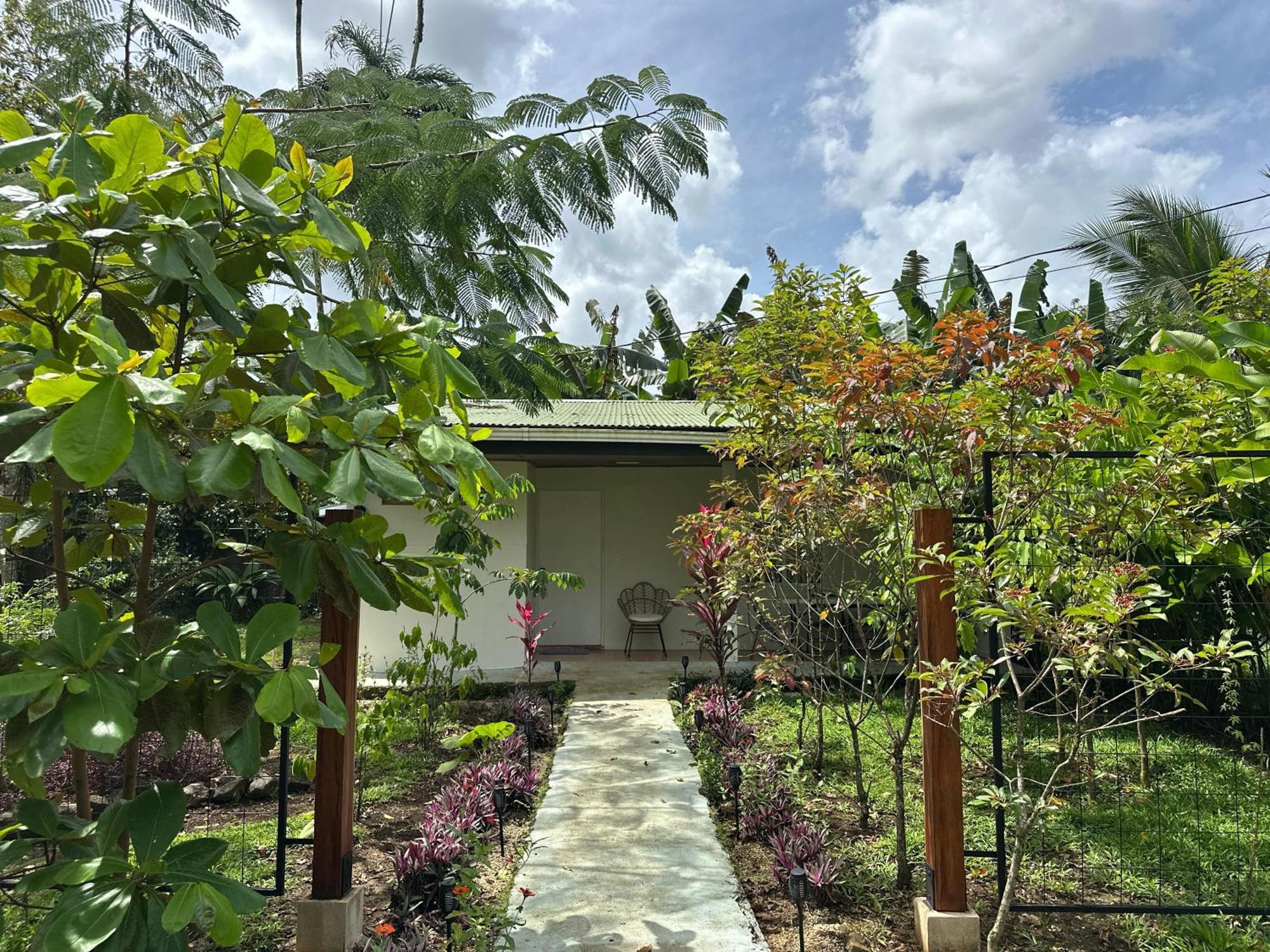 Almendros Eco-Villas La Fortuna Bagian luar foto